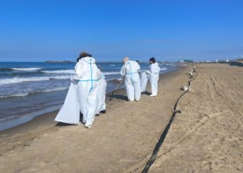 На Кубани собрали 162 тысячи тонн загрязненного мазутом песка, грунта и гальки