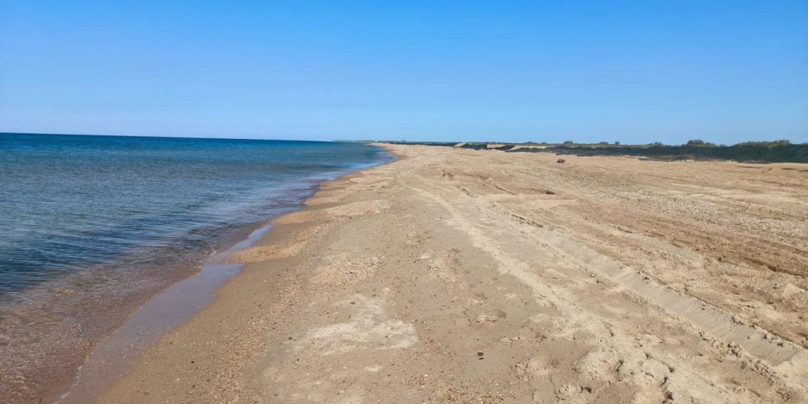 На Кубани собрали 157,8 тысячи тонн загрязненного песка, грунта и гальки