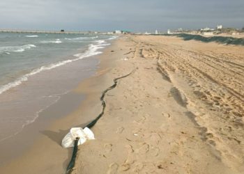 В Анапе не зафиксировали новых выбросов мазута 8 мая