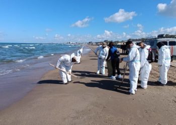 В Анапе ликвидировали новые мелкие выбросы мазута