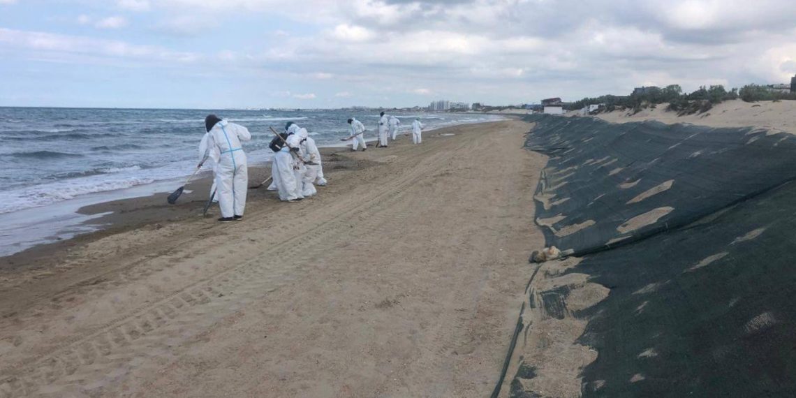 В Краснодарском крае собрали 161 тысячу тонн загрязненного песка, грунта и гальки