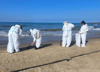 На четырех участках побережья Анапы убрали выбросы мазута 15 мая