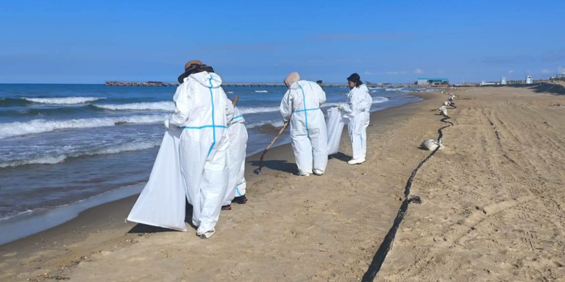 В Анапе обнаружили незначительные выбросы мазута 16 мая