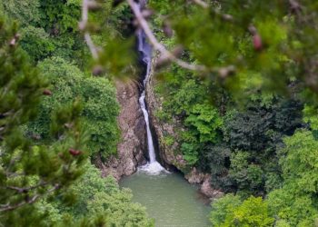 Туристка из Челябинска заблудилась в Агурском ущелье Сочи: ее успешно нашли
