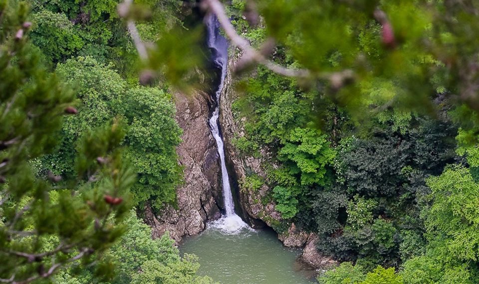 Туристка из Челябинска заблудилась в Агурском ущелье Сочи: ее успешно нашли