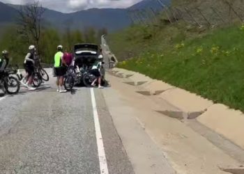 В Сочи медведь чуть не сорвал велопробег