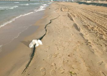 Анна Попова назвала условие для открытия пляжей Анапы в этом курортном сезоне