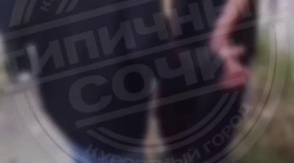 В Сочи полиция установила шестерых участников школьной драки