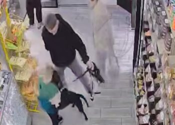 Полиция проводит проверку по факту нападения собаки на ребенка в Краснодаре