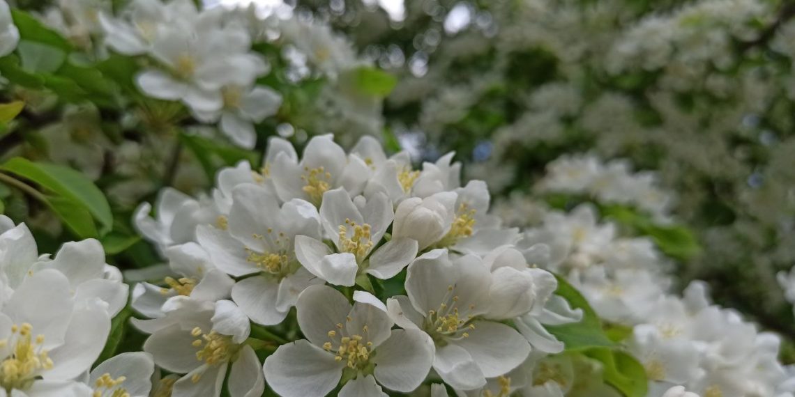 Прогноз погоды на среду и четверг 21 и 22 мая в Краснодарском крае