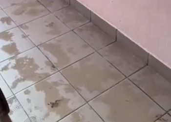 В Краснодаре дети забросали яйцами подъезды и тротуары