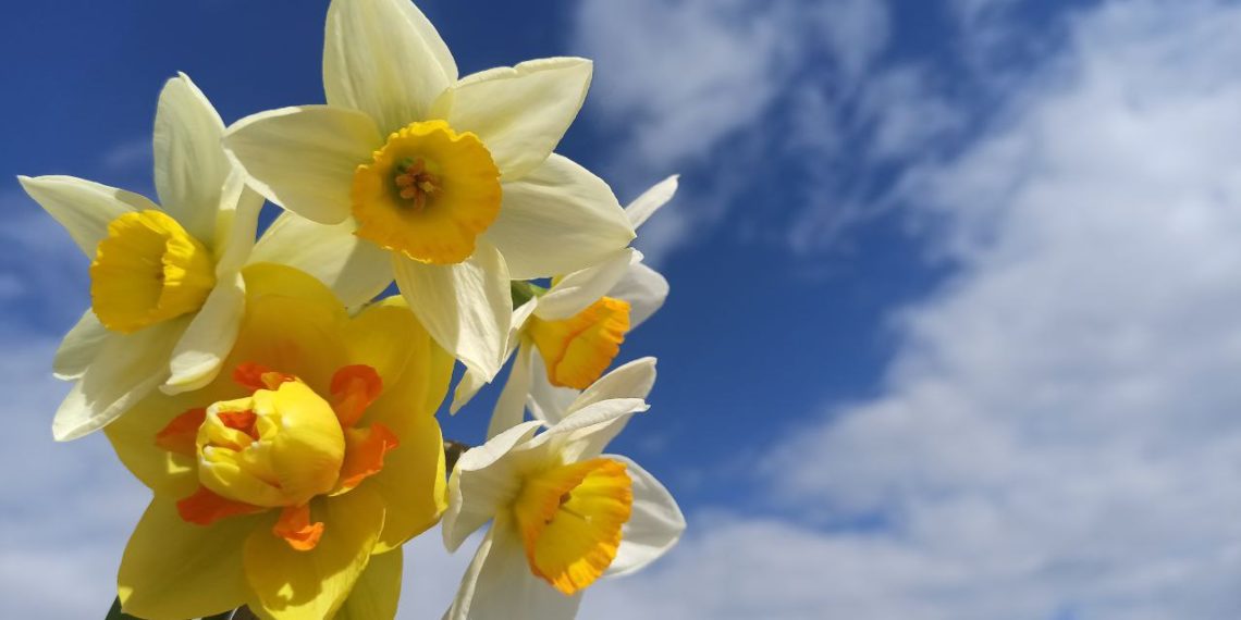 Опасное метеоявление ожидают синоптики в четверг 8 мая в Краснодарском крае