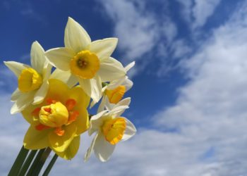 Опасное метеоявление ожидают синоптики в четверг 8 мая в Краснодарском крае