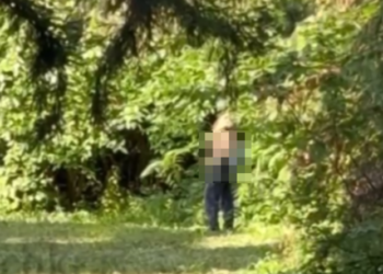 «Налюбоваться не могла»: в Ботаническому саду Краснодара сняли извращенца