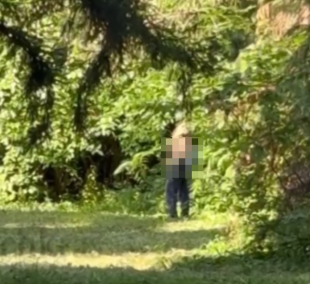 «Налюбоваться не могла»: в Ботаническому саду Краснодара сняли извращенца