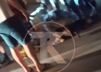 Трагедия на прогулке в Краснодаре: стаффорд разорвал собаку и покусал хозяек