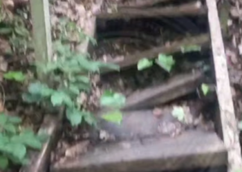 Туробъекты в Сочинском национальном парке напоминают прямой путь в травматологию