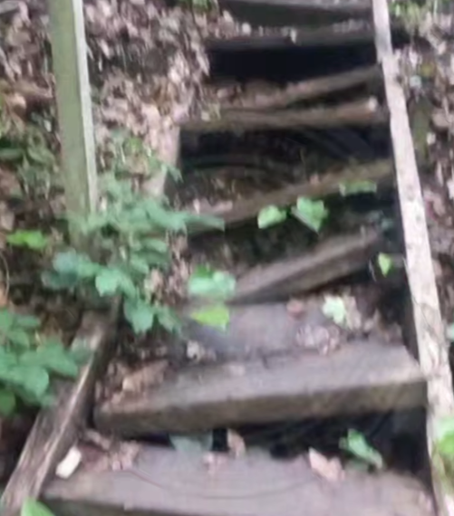 Туробъекты в Сочинском национальном парке напоминают прямой путь в травматологию