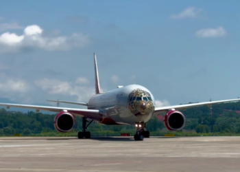 В аэропорту Сочи приземлился необычный «леопардовый» самолёт