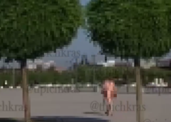 Жаркое лето в Краснодаре: голая женщина искала вход в парк Галицкого