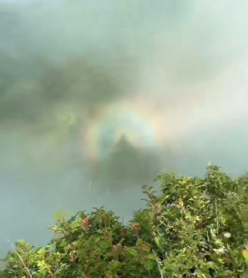 Туристы в горах Сочи запечатлели редкое природное явление — Брокенского призрака