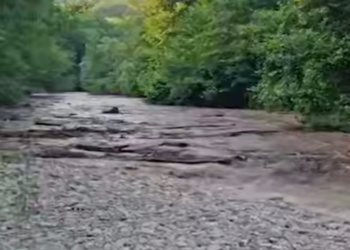 В Архипо-Осиповке зафиксировали мощный сель: грязевой поток сносит всё на пути