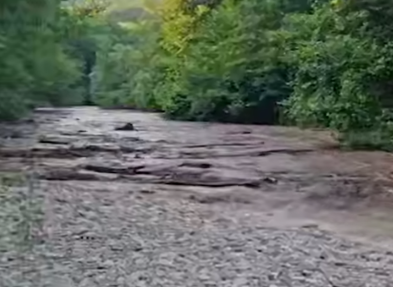 В Архипо-Осиповке зафиксировали мощный сель: грязевой поток сносит всё на пути