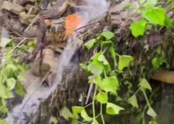 В Сочи на улице Ландышевой оползень завалил газовую трубу