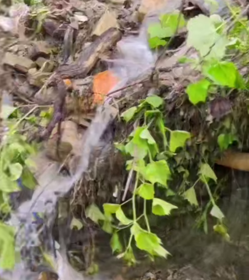 В Сочи на улице Ландышевой оползень завалил газовую трубу