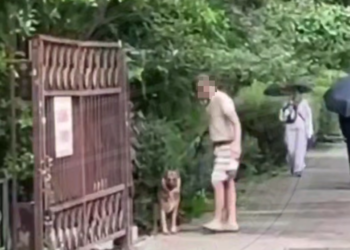 В Сочи мужчина избивал овчарку на глазах у детей