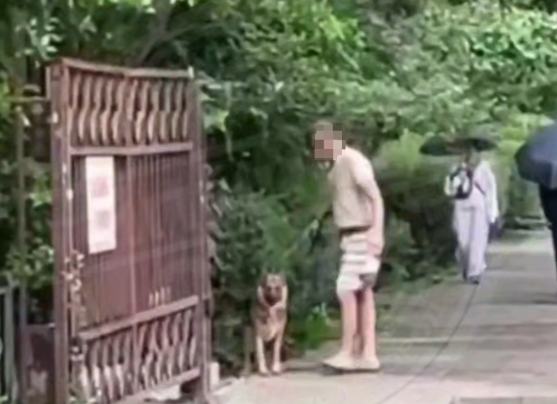 В Сочи мужчина избивал овчарку на глазах у детей