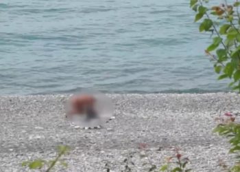 Не все прелести надо показывать: сочинского нудиста «прикрыли» протоколом