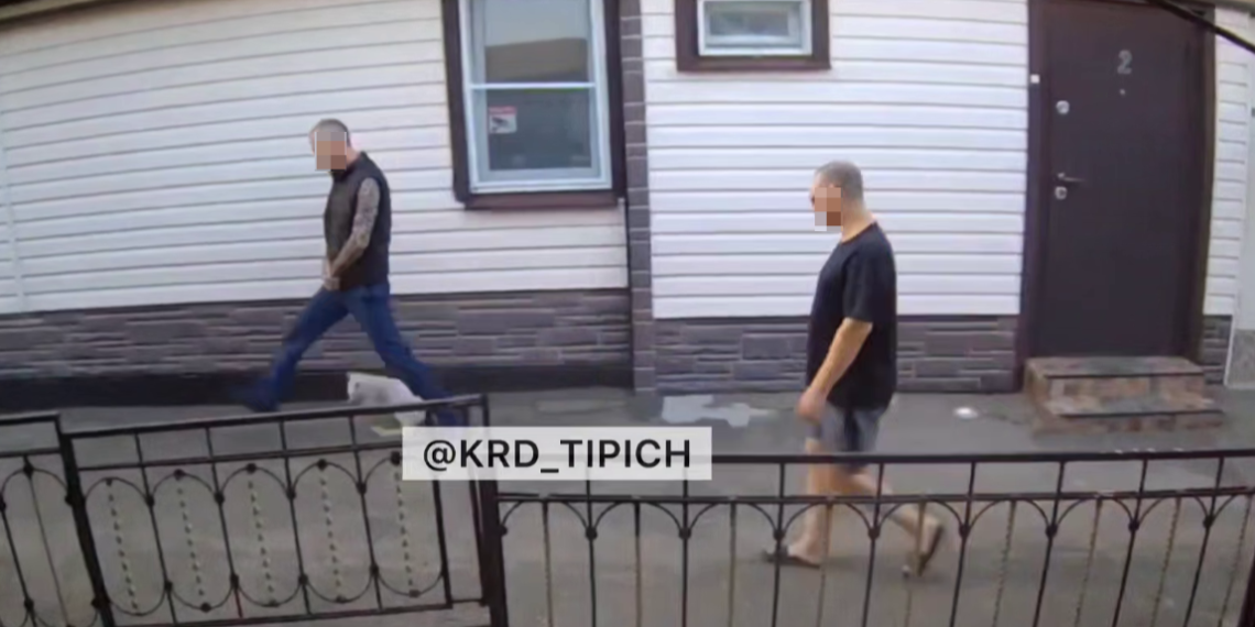 В Краснодаре лысый мужчина с татуировками издевался над соседской кошкой