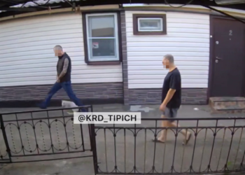 В Краснодаре лысый мужчина с татуировками издевался над соседской кошкой