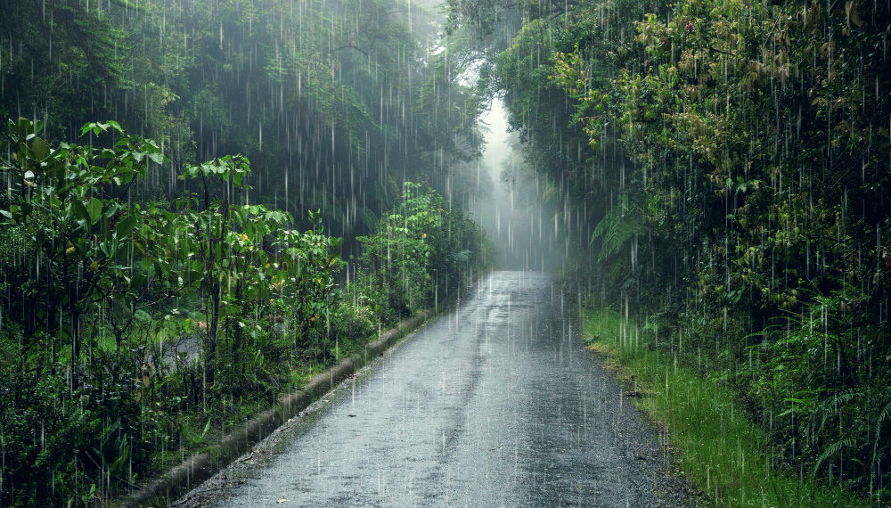 Сильный ливень в Сочи спровоцировал наводнения и масштабные перебои с электроэнергией