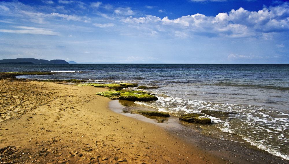 Турецкий мусор выбросило на пляж Анапы при очистке берега волонтерами