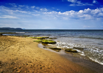 Турецкий мусор выбросило на пляж Анапы при очистке берега волонтерами