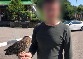 В Сочи поймали очередного уличного эксплуататора животных