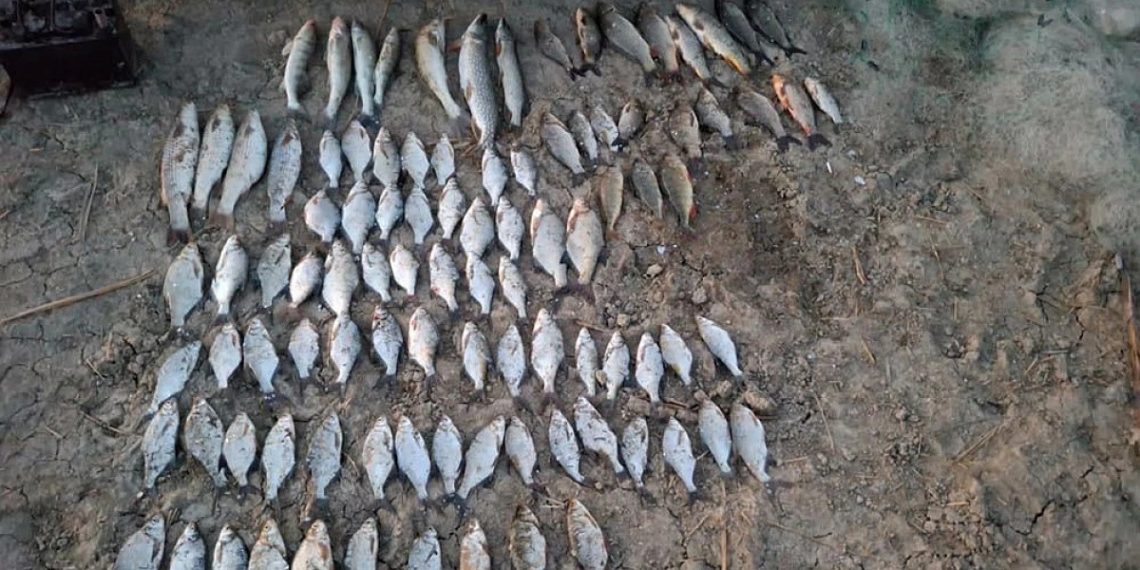 Спецоперация «Путина-2025» ударила по браконьерам на Кубани