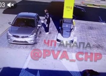 Наехал и уехал: водитель в Анапе сбил собаку на АЗС