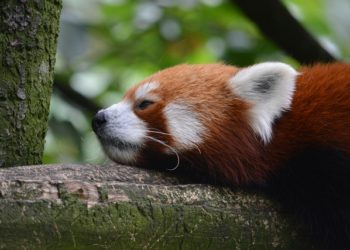 Жара с перерывами на грозы: каким будет июнь в Краснодаре