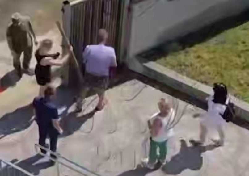 Жительницы элитного ЖК в Сочи дерутся за приватный доступ к пляжу