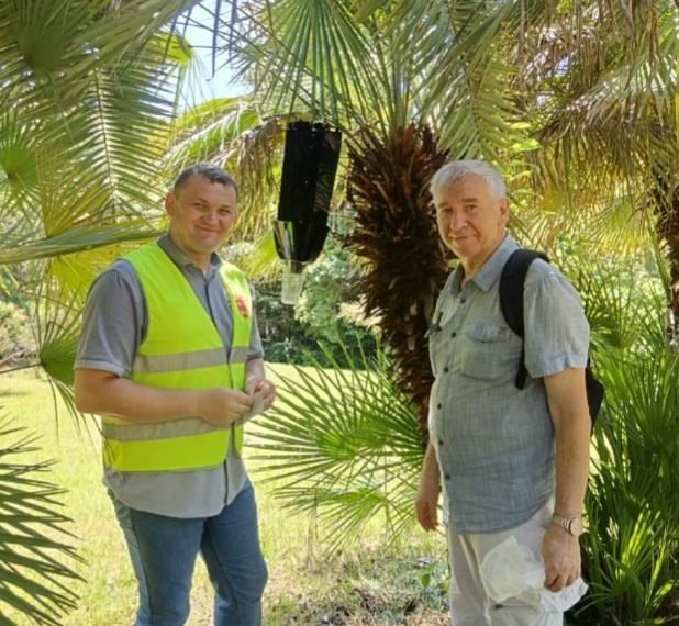 В Сочинском «Дендрарии» начались испытания феромонов