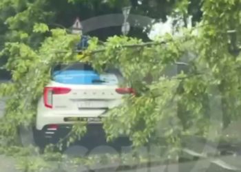 В Сочи дерево упало на проезжающий автомобиль