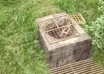 Юные исследователи Сочи изучают подземный коллектор на улице Тепличной