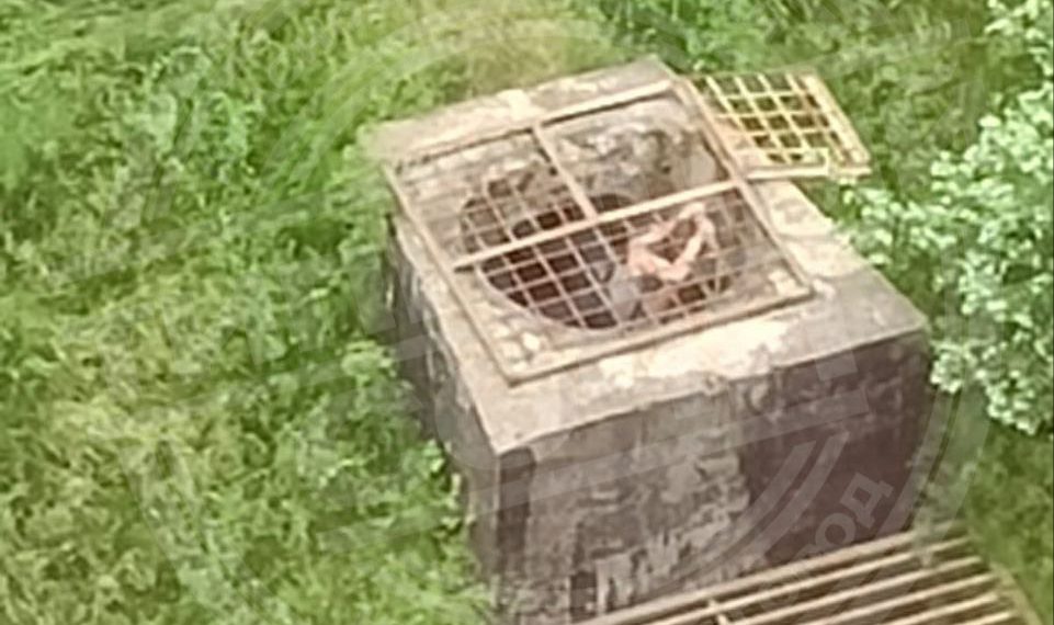 Юные исследователи Сочи изучают подземный коллектор на улице Тепличной