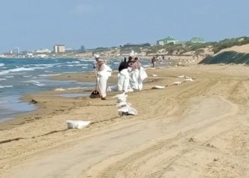 На Кубани собрали более 163 тысяч тонн загрязненного песка, грунта и гальки