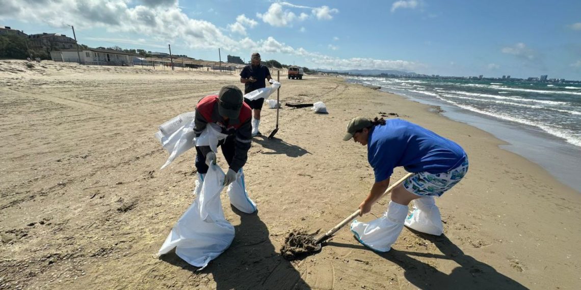На Кубани собрали более 164 тысяч тонн загрязненного песка, грунта и гальки