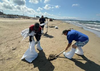 На Кубани собрали более 164 тысяч тонн загрязненного песка, грунта и гальки