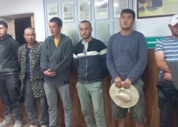 На Кубани 11 граждан Узбекистана выдворят из России